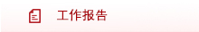 工作报告